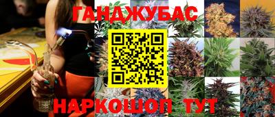 Альфа ПВП Ипатово