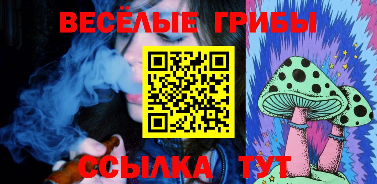 Псилоцибиновые грибы Psilocybine cubensis Лыткарино