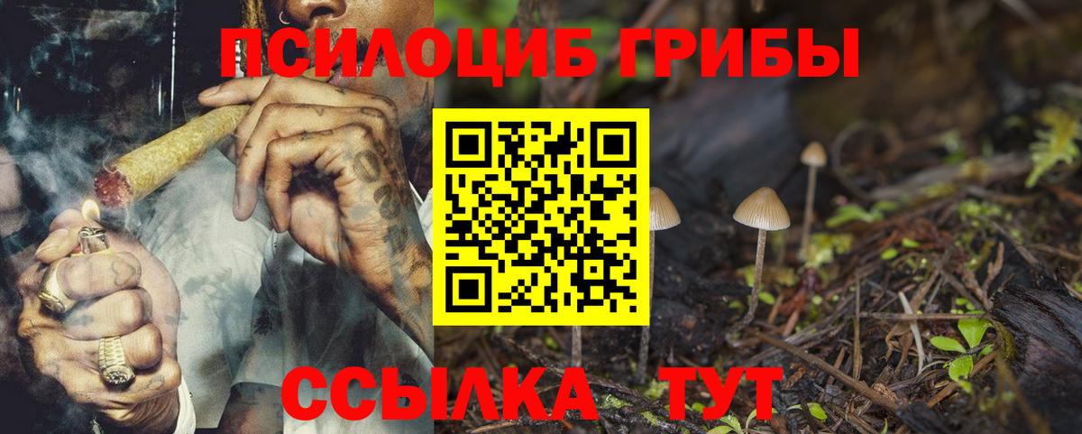 Лыткарино  Псилоцибиновые грибы Cubensis  купить  сайты  Вход с VPN  Псилоцибиновые грибы Cubensis 